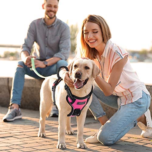 Petacc Dog Harness No-Pull Pet Harness Adjustable Outdoor Pet Reflective Vest Dog Walking Harness with Postpositive D-Ring Buckle and Handle for Small Medium Large Dogs