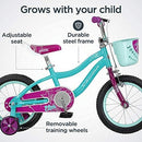 Schwinn Elm Girls Bike for Toddlers and Kids