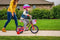 Schwinn Elm Girls Bike for Toddlers and Kids