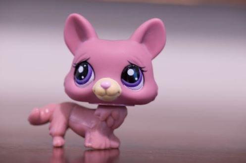 TOP Satisfied Littlest Pet Shop LPS