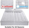 EMONIA Queen Mattress Pad - Pillow Top Fitted Mattress Pad Cover (Deep Pocket 8"-21"), 300TC Down Alternative Quilted Mattress Topper