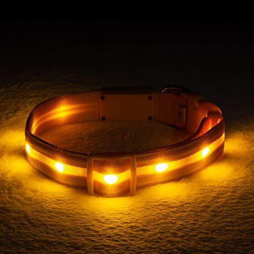 Blazin' Safety LED Dog Collar – USB Rechargeable with Water Resistant Flashing Light