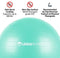 URBNFit Exercise Ball (Multiple Sizes) for Fitness, Stability, Balance & Yoga - Workout Guide & Quick Pump Included - Anti Burst Professional Quality Design