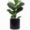 Indoor Flower Pot | Large Modern Planter, Terracotta Ceramic Plant Pot - Plant Container Great for Plant Stands (8.5 inch, Black)