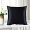 Mellanni Silk Pillowcase Queen - 19 Momme 100% Pure Natural Mulberry Silk Pillow Case for Hair and Skin - Hidden Zipper Closure - Both Sides are Silk (Queen 20" X 30", Black, White Piping)