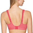 Champion Women's Spot Comfort Full-Support Sport Bra