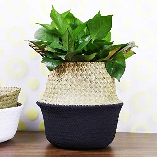 Glass - Blunt Enjoyee Natural Seagrass Woven Storage Pot Tote Belly Basket for Storage, Laundry, Picnic, Plant Pot Cover, and Beach Bag