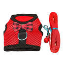 RYPET Small Animal Harness and Leash - Soft Mesh Small Pet Harness with Safe Bell, No Pull Comfort Padded Vest for Small Pet