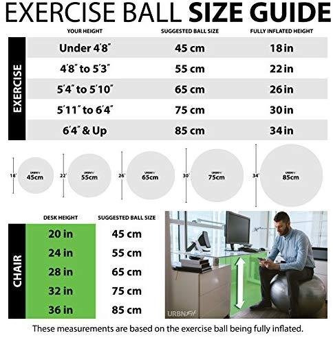 URBNFit Exercise Ball (Multiple Sizes) for Fitness, Stability, Balance & Yoga - Workout Guide & Quick Pump Included - Anti Burst Professional Quality Design