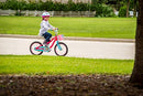 Schwinn Elm Girls Bike for Toddlers and Kids