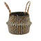 Natural Seagrass Belly Basket with Handles Seagrass Planter for Fig Indoor Plants