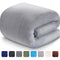 LEISURE TOWN Soft Blanket Queen Size All Season Fleece Blankets Lightweight Warm, Luxury Cozy Plush Throw Blanket for Sofa Bed Couch, 90 by 90 Inches, Dark Grey