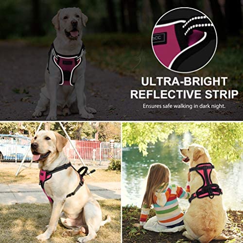 Petacc Dog Harness No-Pull Pet Harness Adjustable Outdoor Pet Reflective Vest Dog Walking Harness with Postpositive D-Ring Buckle and Handle for Small Medium Large Dogs