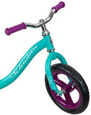 Schwinn Elm Girls Bike for Toddlers and Kids