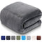 LEISURE TOWN Soft Blanket Queen Size All Season Fleece Blankets Lightweight Warm, Luxury Cozy Plush Throw Blanket for Sofa Bed Couch, 90 by 90 Inches, Dark Grey