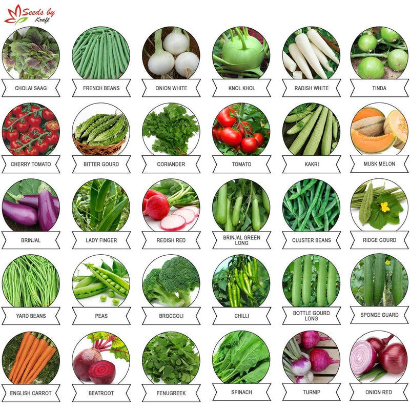 Kraft Seeds 30 Varieties of Vegetable Seeds Exotic Vegetable Healoom Varieties Grow