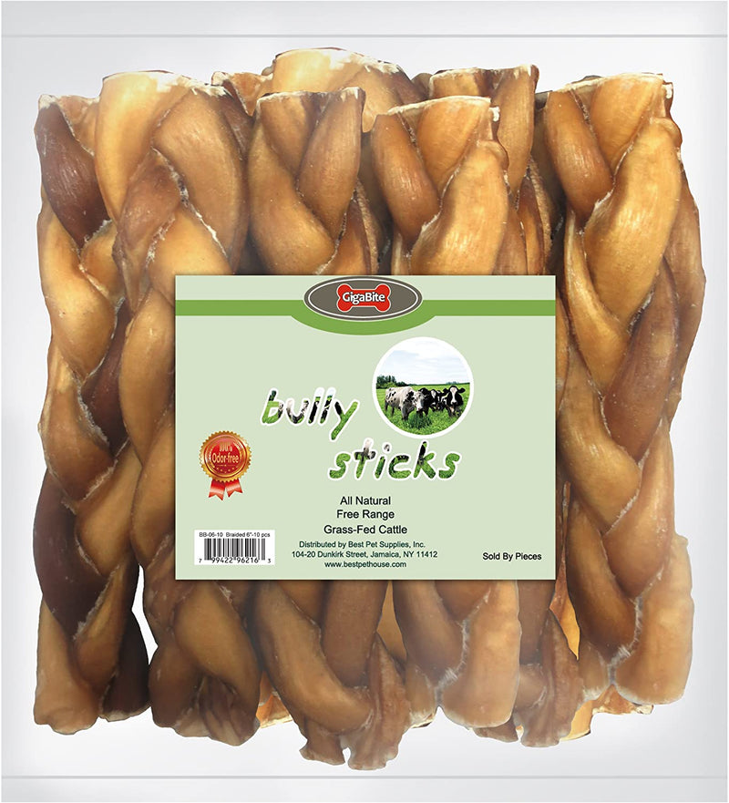 GigaBite 6 Inch Low-Odor Braided Bully Sticks (10 Pack) – USDA & FDA Certified All Natural, Free Range Beef Pizzle Dog Treat – by Best Pet Supplies