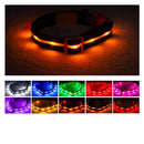 Blazin' Safety LED Dog Collar – USB Rechargeable with Water Resistant Flashing Light