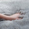 PAGISOFE Soft Faux Sheepskin Fluffy Rugs for Bedroom Kids Room, High Pile Faux Fur Area Rug Bedside Floor Carpet Photography, 3x5 Feet Rectangular Grey