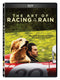 Art of Racing in the Rain, The