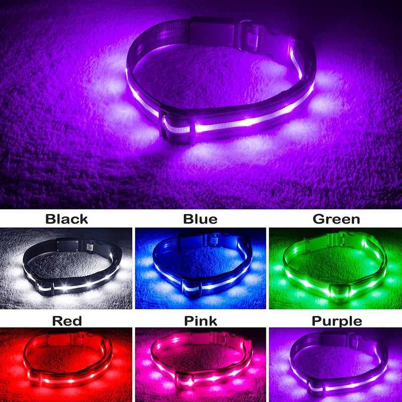 Blazin' Safety LED Dog Collar – USB Rechargeable with Water Resistant Flashing Light