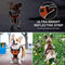 Petacc Dog Harness No-Pull Pet Harness Adjustable Outdoor Pet Reflective Vest Dog Walking Harness with Postpositive D-Ring Buckle and Handle for Small Medium Large Dogs