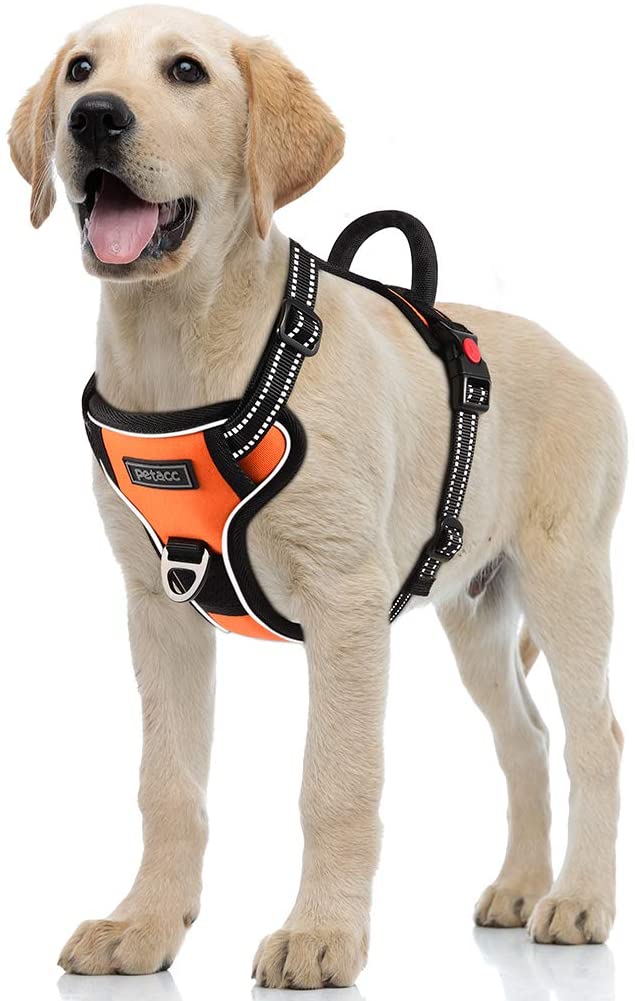 Petacc Dog Harness No-Pull Pet Harness Adjustable Outdoor Pet Reflective Vest Dog Walking Harness with Postpositive D-Ring Buckle and Handle for Small Medium Large Dogs