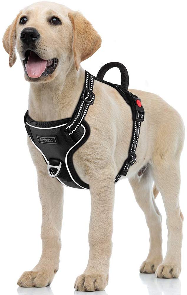 Petacc Dog Harness No-Pull Pet Harness Adjustable Outdoor Pet Reflective Vest Dog Walking Harness with Postpositive D-Ring Buckle and Handle for Small Medium Large Dogs