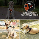 Petacc Dog Harness No-Pull Pet Harness Adjustable Outdoor Pet Reflective Vest Dog Walking Harness with Postpositive D-Ring Buckle and Handle for Small Medium Large Dogs