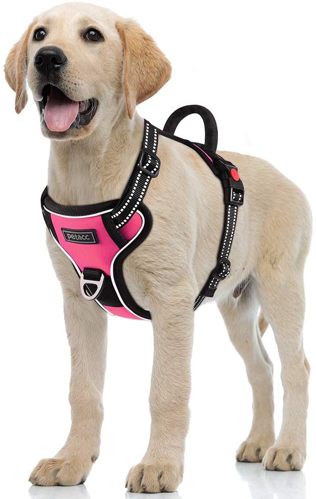 Petacc Dog Harness No-Pull Pet Harness Adjustable Outdoor Pet Reflective Vest Dog Walking Harness with Postpositive D-Ring Buckle and Handle for Small Medium Large Dogs