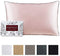 Mellanni Silk Pillowcase Queen - 19 Momme 100% Pure Natural Mulberry Silk Pillow Case for Hair and Skin - Hidden Zipper Closure - Both Sides are Silk (Queen 20" X 30", Black, White Piping)